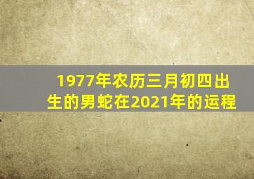 1977年农历三月初四出生的男蛇在2021年的运程