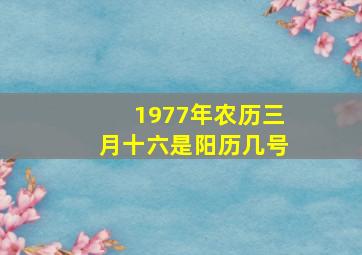 1977年农历三月十六是阳历几号