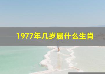 1977年几岁属什么生肖