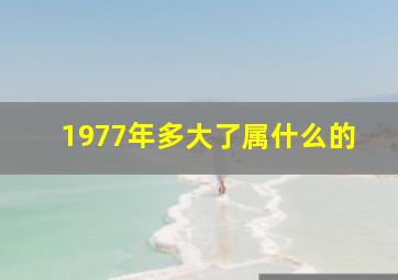 1977年多大了属什么的