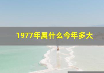 1977年属什么今年多大