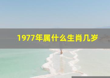 1977年属什么生肖几岁