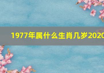 1977年属什么生肖几岁2020