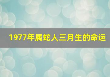 1977年属蛇人三月生的命运