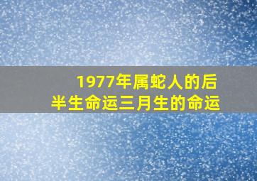 1977年属蛇人的后半生命运三月生的命运