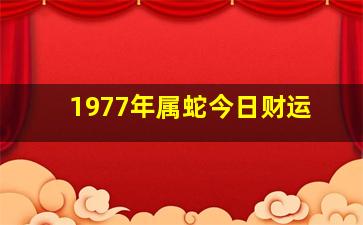 1977年属蛇今日财运