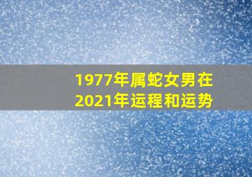 1977年属蛇女男在2021年运程和运势