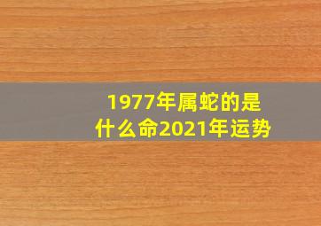 1977年属蛇的是什么命2021年运势