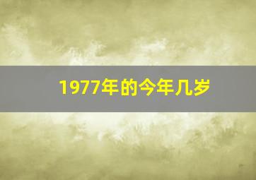 1977年的今年几岁