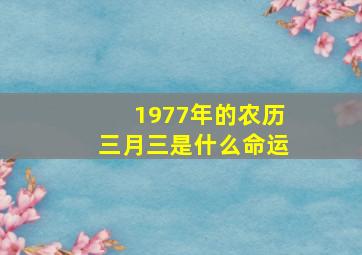 1977年的农历三月三是什么命运