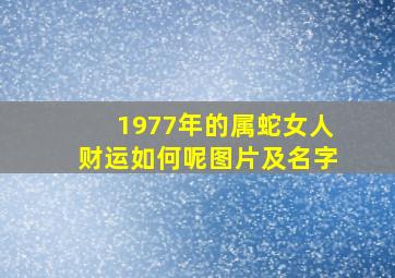 1977年的属蛇女人财运如何呢图片及名字