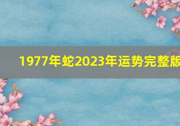 1977年蛇2023年运势完整版