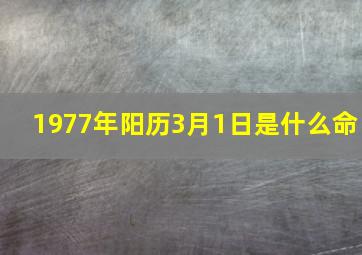 1977年阳历3月1日是什么命