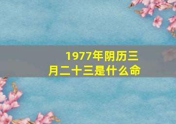 1977年阴历三月二十三是什么命