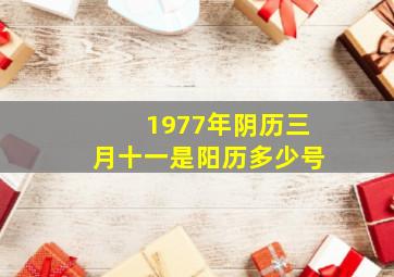 1977年阴历三月十一是阳历多少号