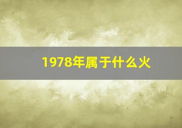 1978年属于什么火