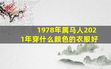 1978年属马人2021年穿什么颜色的衣服好