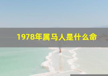 1978年属马人是什么命