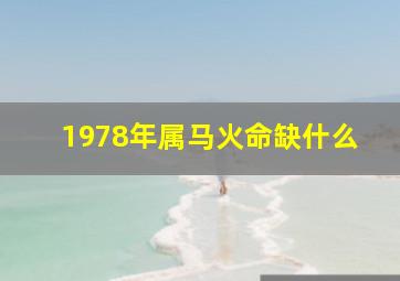 1978年属马火命缺什么