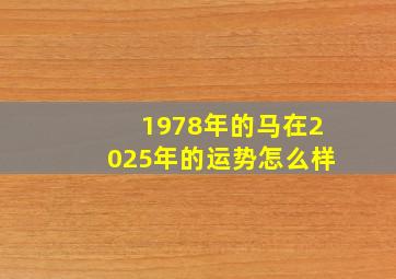 1978年的马在2025年的运势怎么样