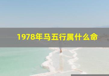 1978年马五行属什么命