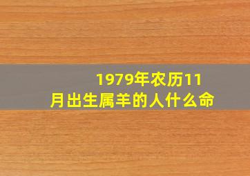 1979年农历11月出生属羊的人什么命