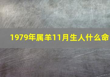 1979年属羊11月生人什么命