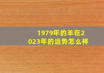 1979年的羊在2023年的运势怎么样