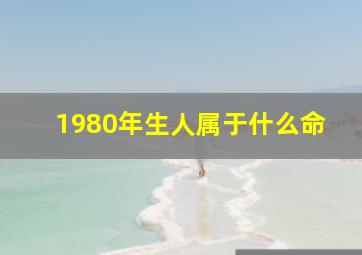 1980年生人属于什么命