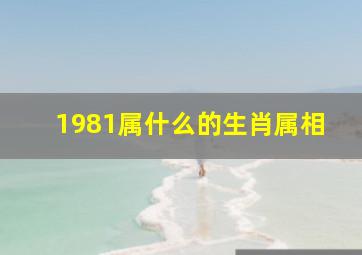 1981属什么的生肖属相