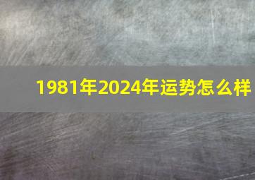 1981年2024年运势怎么样