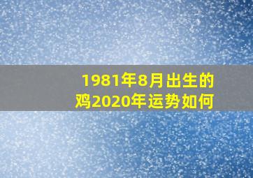 1981年8月出生的鸡2020年运势如何