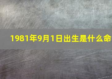 1981年9月1日出生是什么命