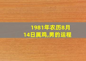 1981年农历8月14日属鸡,男的运程