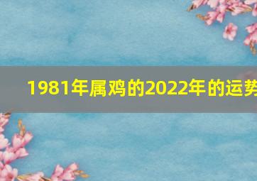 1981年属鸡的2022年的运势