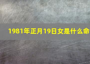 1981年正月19日女是什么命