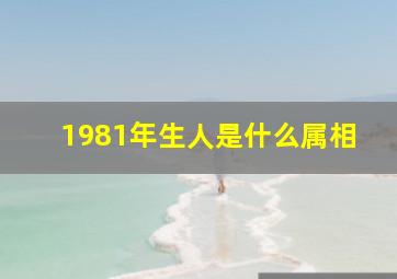 1981年生人是什么属相