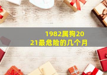 1982属狗2021最危险的几个月