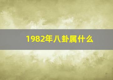 1982年八卦属什么