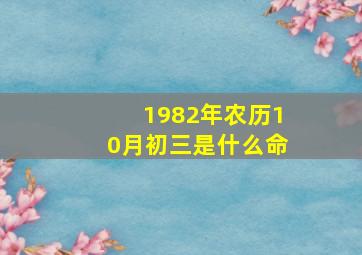 1982年农历10月初三是什么命