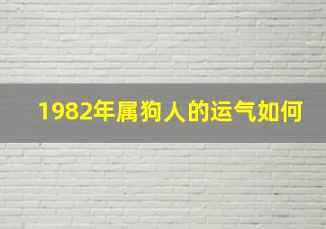 1982年属狗人的运气如何