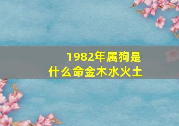 1982年属狗是什么命金木水火土