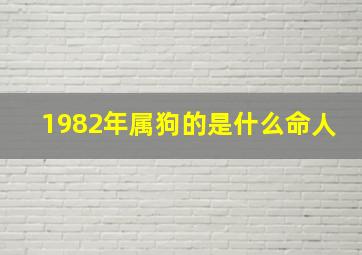 1982年属狗的是什么命人