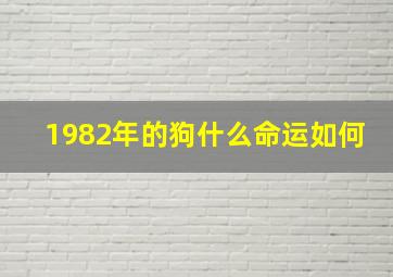 1982年的狗什么命运如何