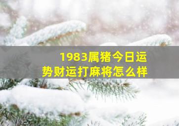 1983属猪今日运势财运打麻将怎么样