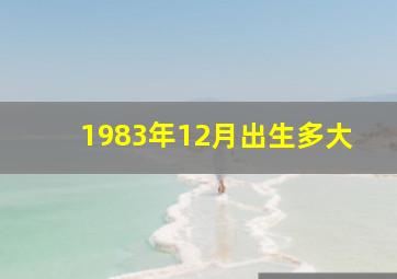 1983年12月出生多大