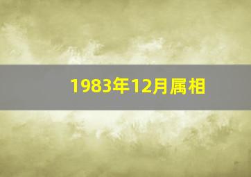 1983年12月属相