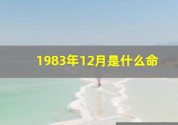 1983年12月是什么命