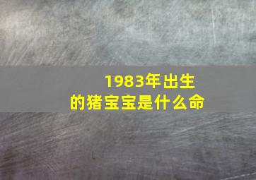 1983年出生的猪宝宝是什么命