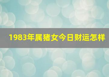 1983年属猪女今日财运怎样